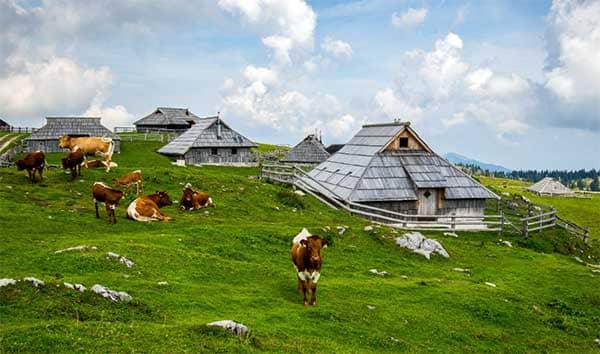 Veliká Planina